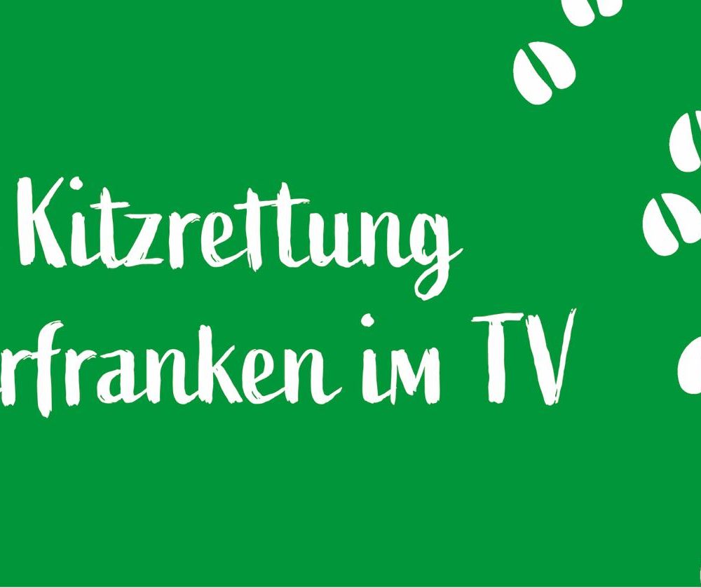 Die Kitzrettung Oberfranken im TV
